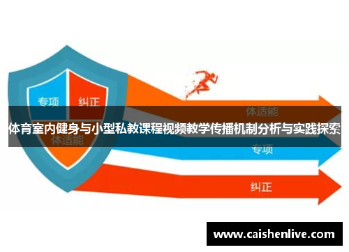 体育室内健身与小型私教课程视频教学传播机制分析与实践探索