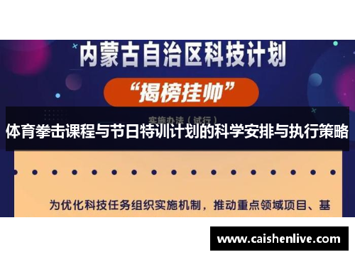 体育拳击课程与节日特训计划的科学安排与执行策略