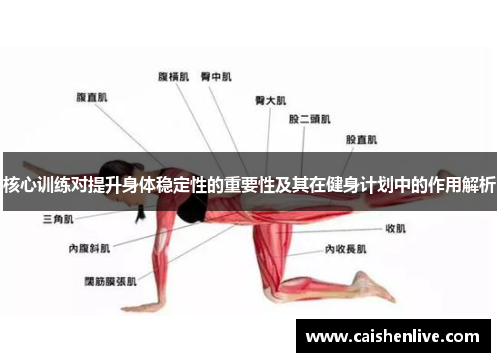 核心训练对提升身体稳定性的重要性及其在健身计划中的作用解析