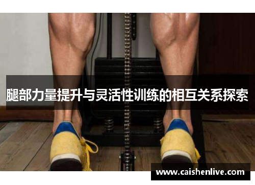 腿部力量提升与灵活性训练的相互关系探索